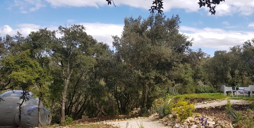 Sentier de garrigue traversant un cadre naturel boisé à l'Astronarium Aniane, avec dôme argenté visible