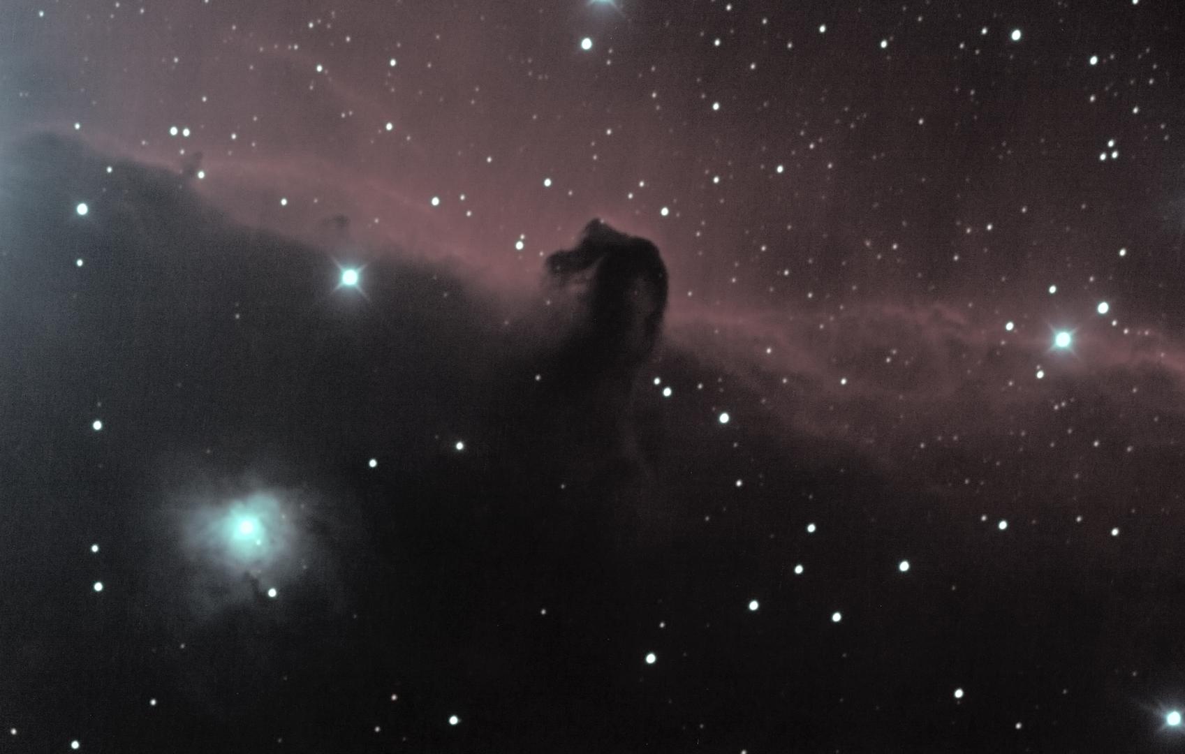 Nébuleuse de la Tête de Cheval photographiée depuis l'observatoire de l'Astronarium, ciel étoilé profond