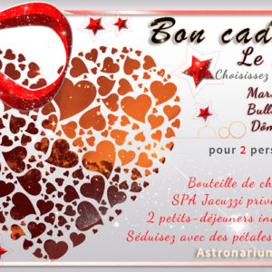 Bon cadeau nuit insolite Le Must